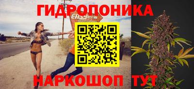 мдпв Заводоуковск